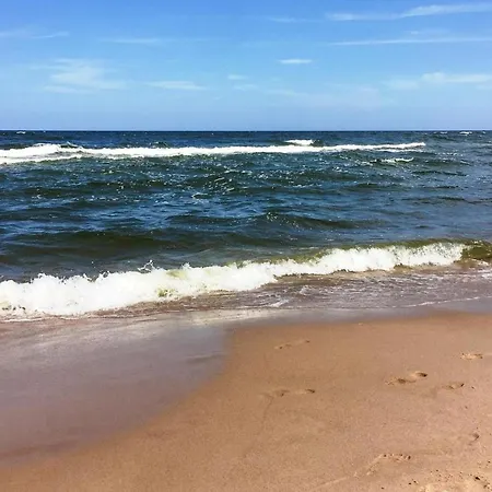 Gorgeous In With Wifi * Грзибово