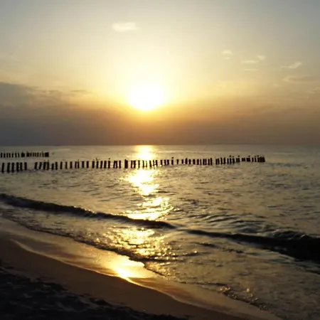 Gorgeous In With Wifi * Грзибово