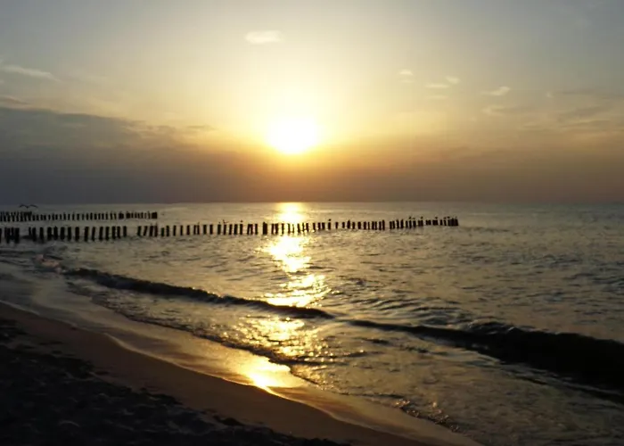 Gorgeous In With Wifi * グジボボ